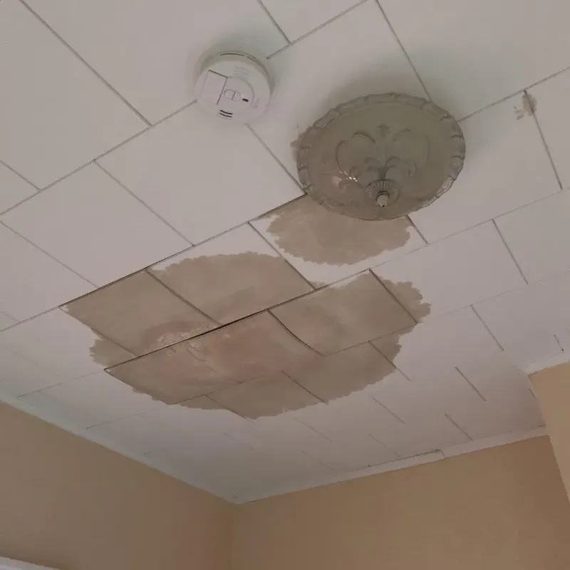 Ceiling Water Damage Repair in Rural Hall, NC