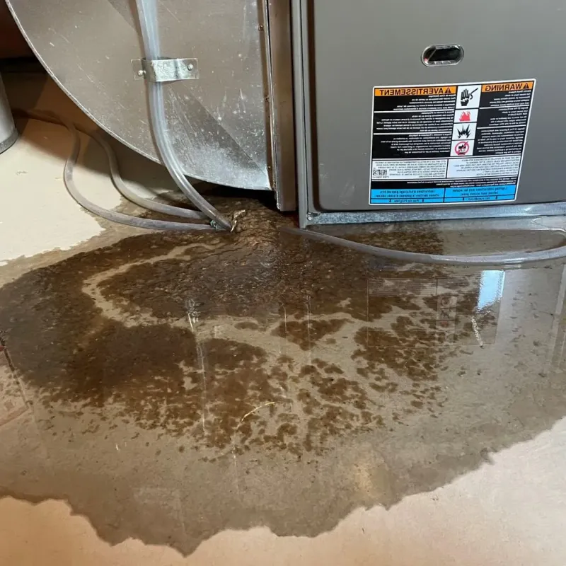Pipe Burst and Leak Restoration in Rural Hall, NC