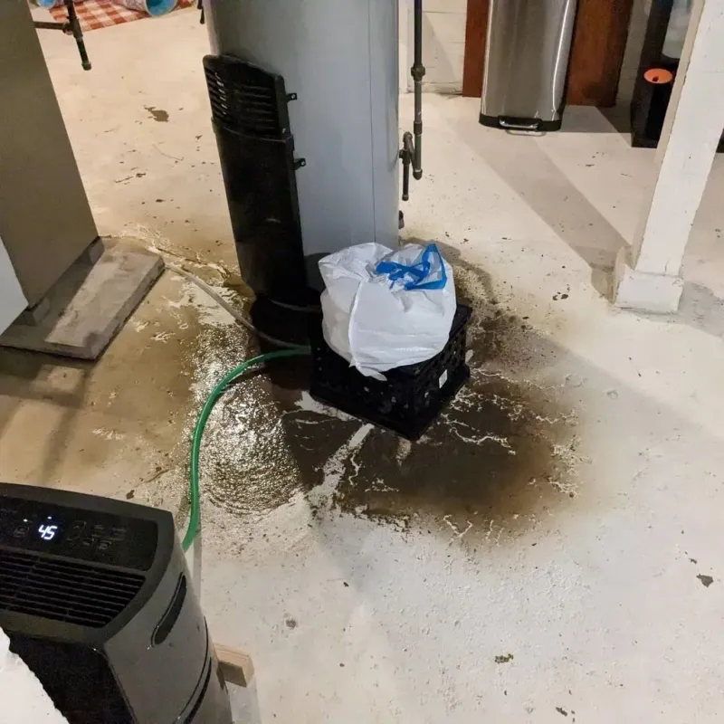 Sewage Backup Cleanup Service in Rural Hall, NC